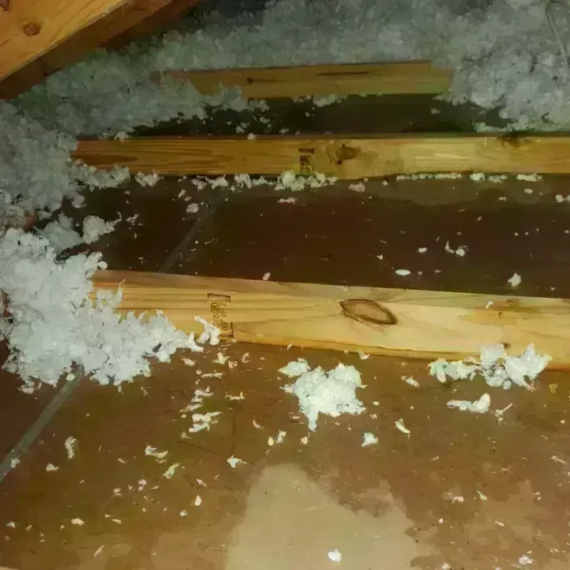 Attic Water Damage in Willow Valley, AZ